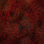 Growth Pattern Red Paul Merryman art