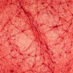 Entanglement 24 Paul Merryman art